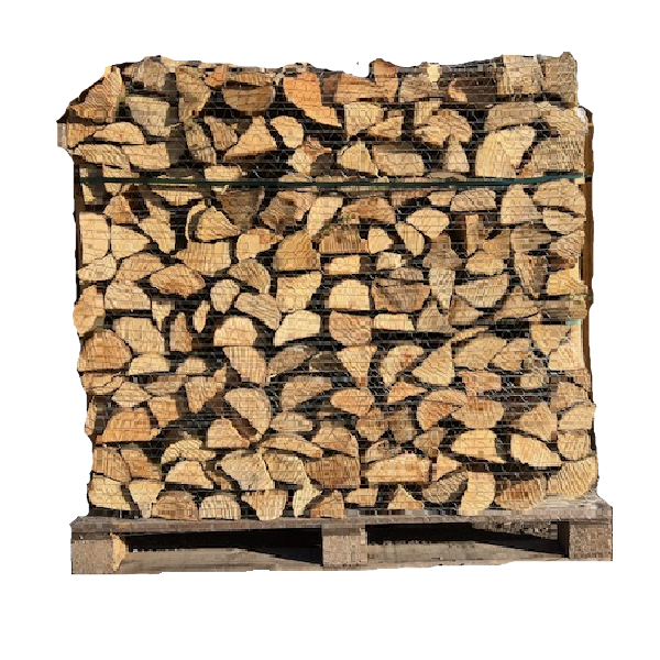 Bois de cuisson professionnel – pizza, grill et boulangerie – vue 6